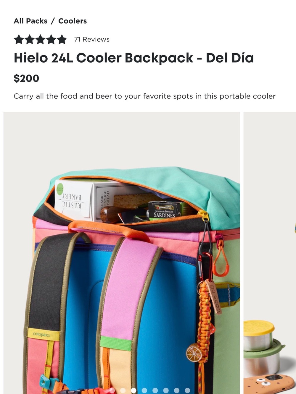 Cotopaxi 24 liter backpack cooler